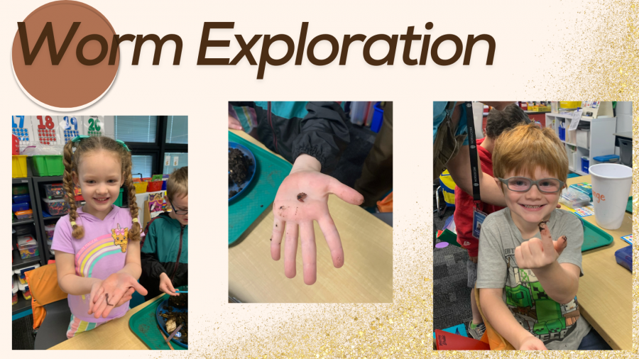 worm exploration