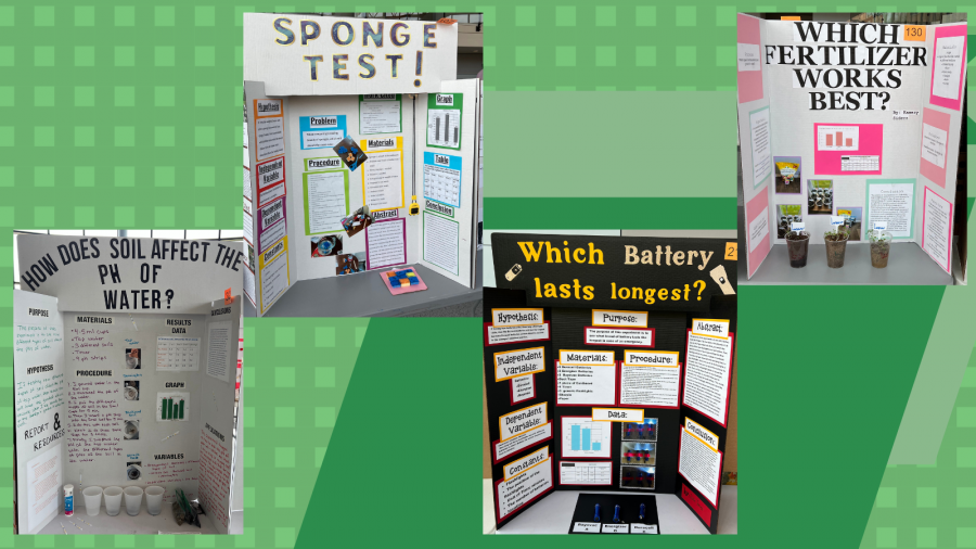 science fair