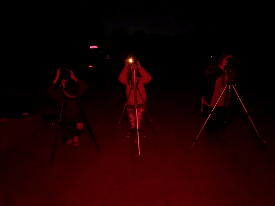 image of stargazers looking up at sky