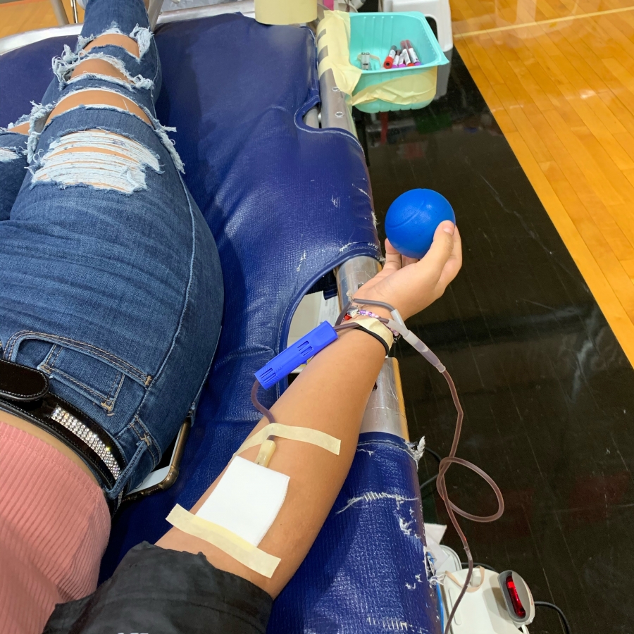 girls arm giving blood