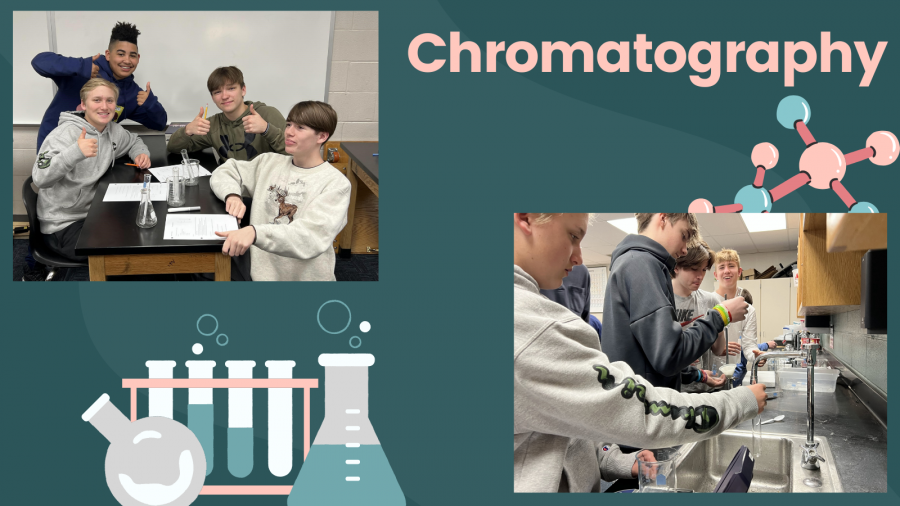 chromatography