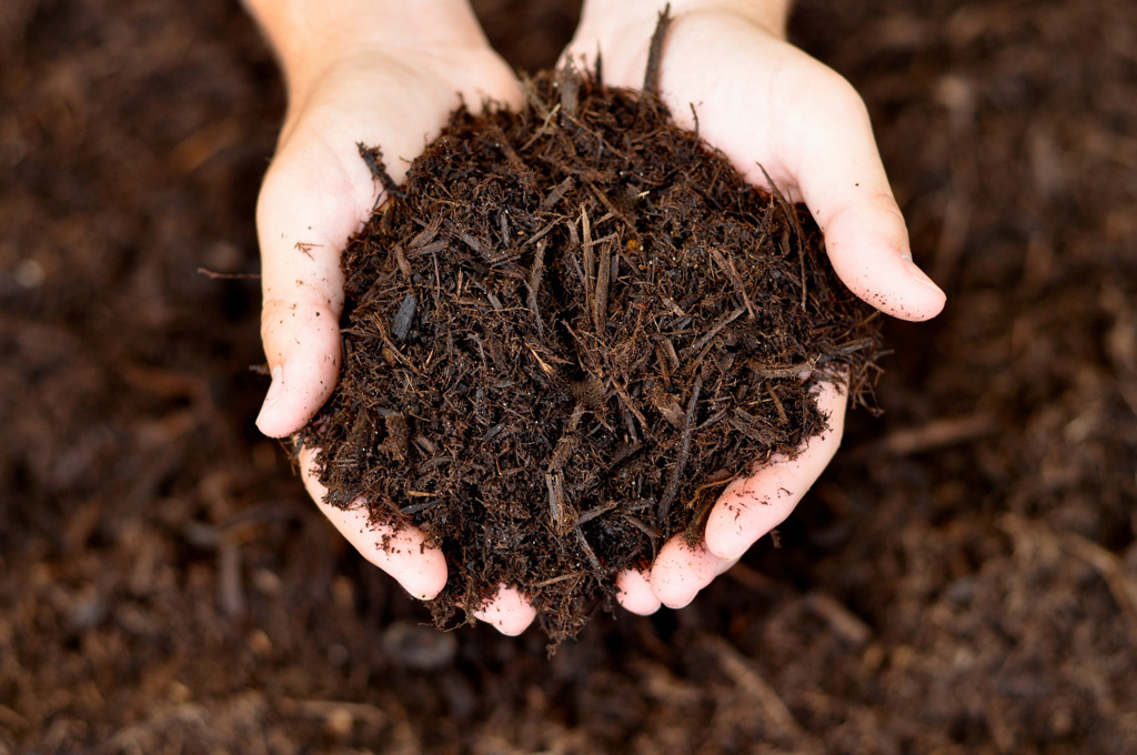 hands with mulch